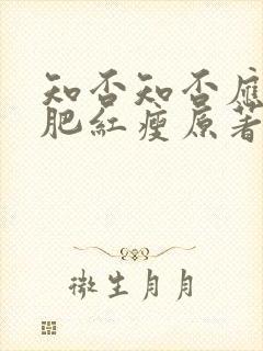 知否知否应是绿肥红瘦原著小说txt