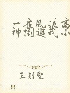 一夜风流高冷女神倒追我小说免费阅读无弹窗