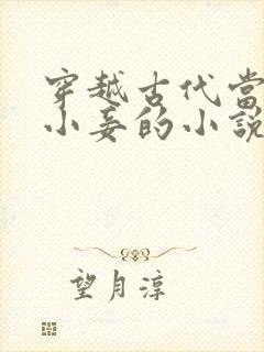 穿越古代当外室小妾的小说