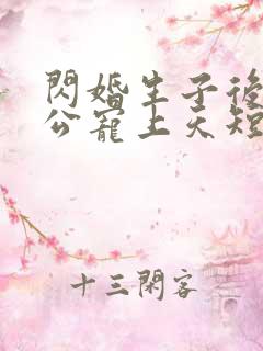 闪婚生子后被老公宠上天短剧热播