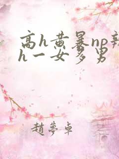 高h黄暴np辣h一女多男