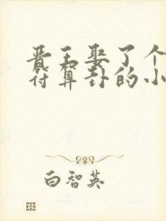 晋王娶了个会画符算卦的小王妃小说