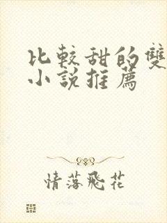 比较甜的双男主小说推荐