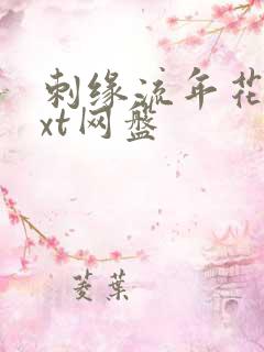 刺缘流年花开txt网盘