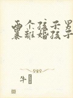 两个孩子男方家暴离婚孩子归谁