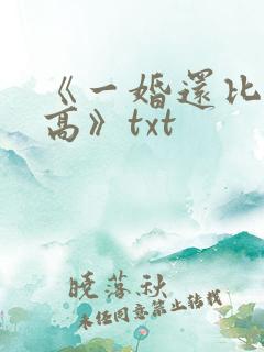 《一婚还比一婚高》txt