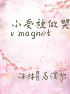 小受被做哭的gv magnet