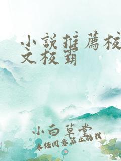 小说推荐校园甜文校霸