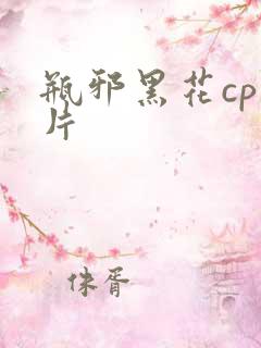 瓶邪黑花cp图片