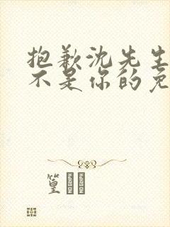 抱歉沈先生孩子不是你的免费