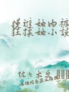 摸进她内裤里疯狂揉她小说