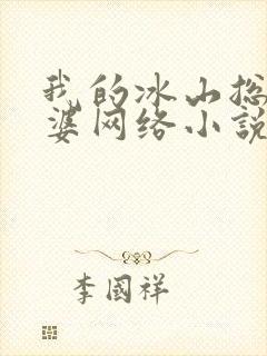 我的冰山总裁老婆网络小说