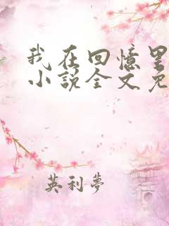 我在回忆里等你小说全文免费阅读