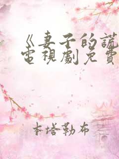 《妻子的谎言》电视剧免费观看全集