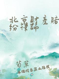 北京财产赔偿纠纷律师