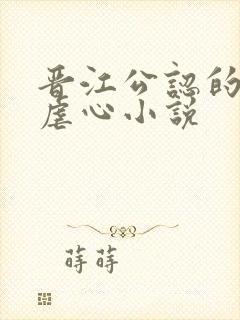 晋江公认的十大虐心小说