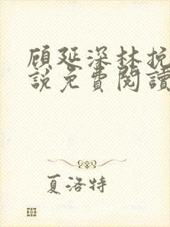 顾延深林挽音小说免费阅读最新章节