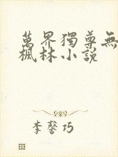 万界独尊无忧林枫林小说