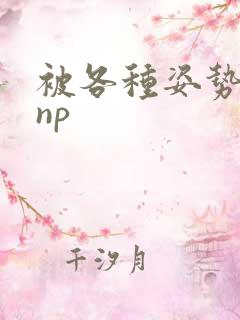 被各种姿势玩弄np
