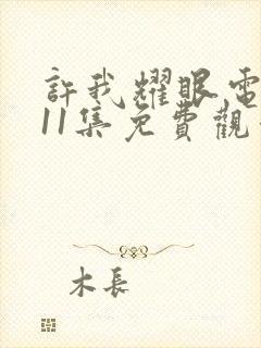 许我耀眼电视剧11集免费观看