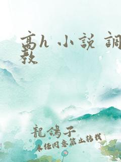 高h 小说 调教