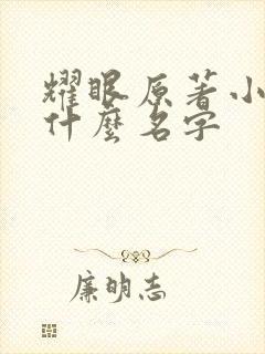 耀眼原著小说叫什么名字