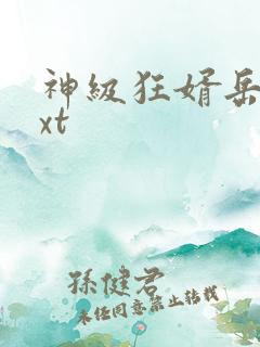 神级狂婿岳风txt