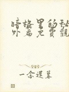 暗格里的秘密番外篇免费观看26集