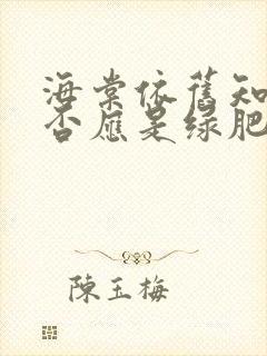 海棠依旧知否知否应是绿肥红瘦是什么歌