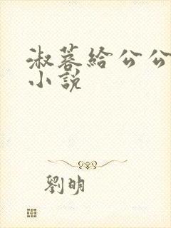 淑蓉给公公止痒小说