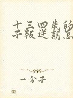 十三四岁的男孩子叛逆期怎么办