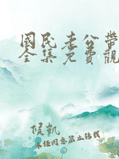 国民老公带回家全集免费观看