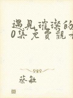 遇见璀璨的你40集免费观看