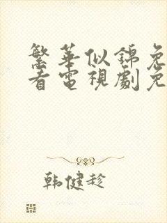 繁华似锦免费观看电视剧免费观看全集