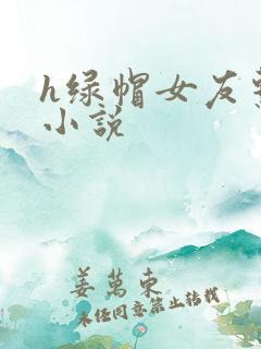 h绿帽女友系列小说