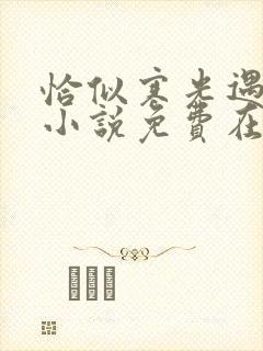 恰似寒光遇骄阳小说免费在线阅读