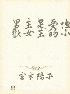 男主是受但是喜欢女主的小说