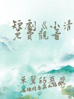 短剧《小清欢》免费观看