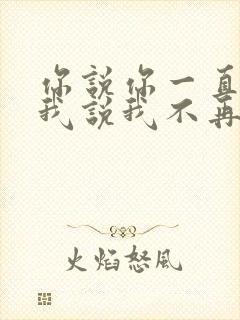 你说你一直爱我我说我不再拥有什么歌