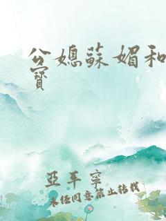 公媳苏媚和赵大宝