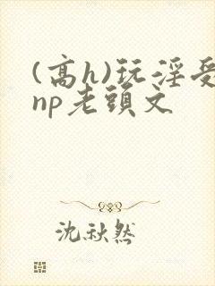 (高h)玩淫受np老头文