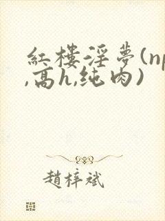 红楼淫梦(np,高h,纯肉)