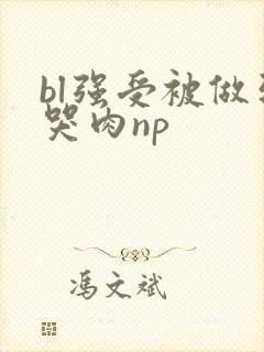 bl强受被做到哭肉np