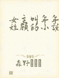 女主叫年年男主姓顾的小说