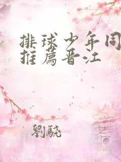 排球少年同人文推荐晋江