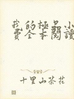 我的极品小姨免费全本阅读