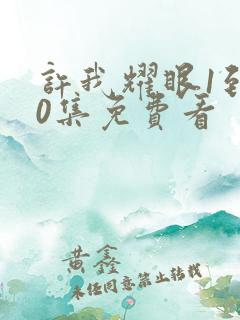 许我耀眼1到40集免费看