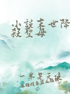 小说末世降临先杀圣母