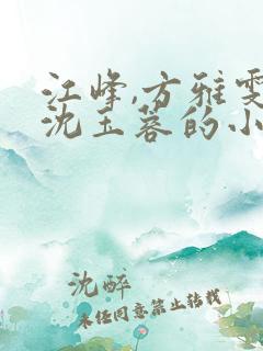 江峰,方雅雯,沈玉蓉的小说