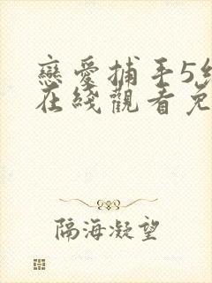 恋爱捕手5综艺在线观看免费